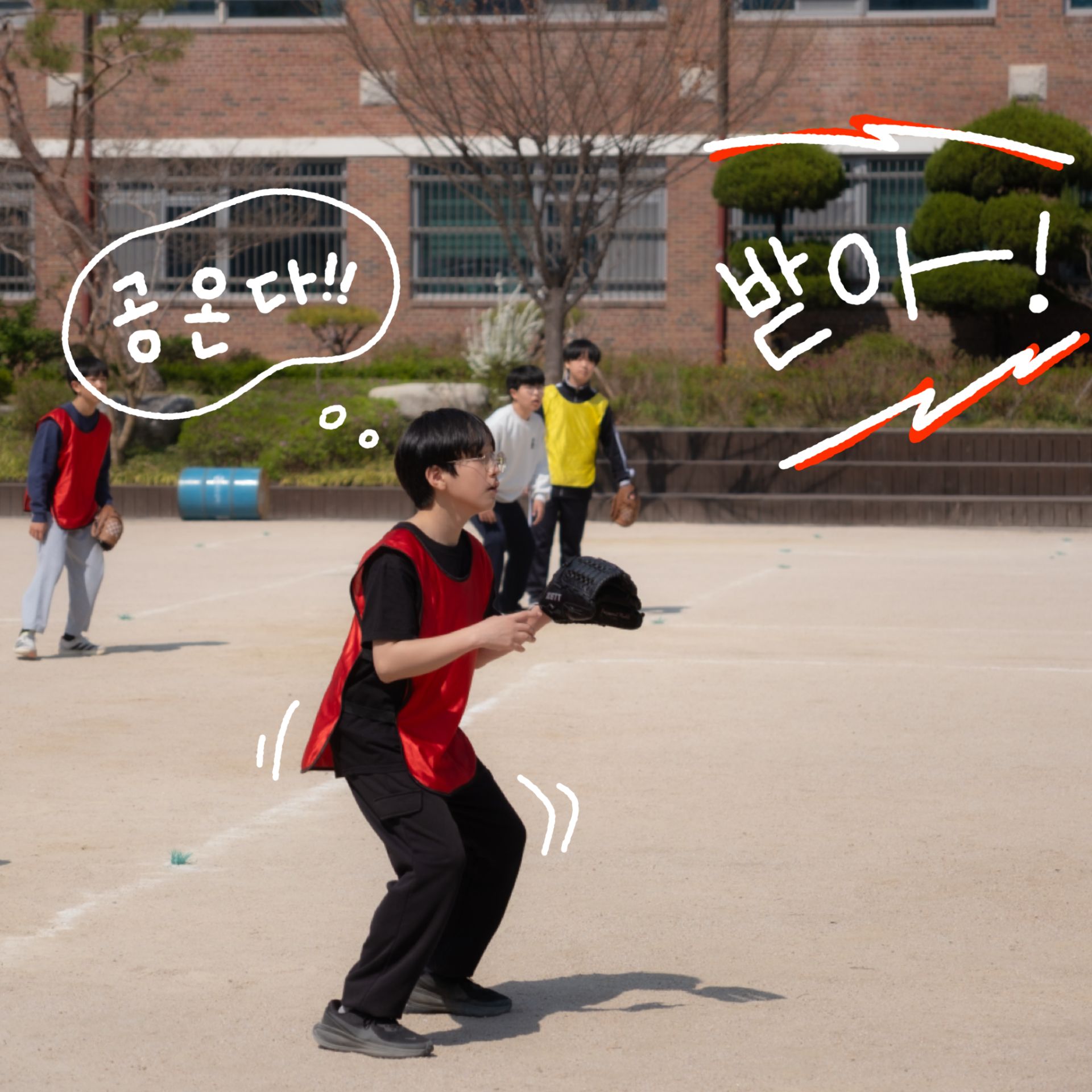 미디어 49